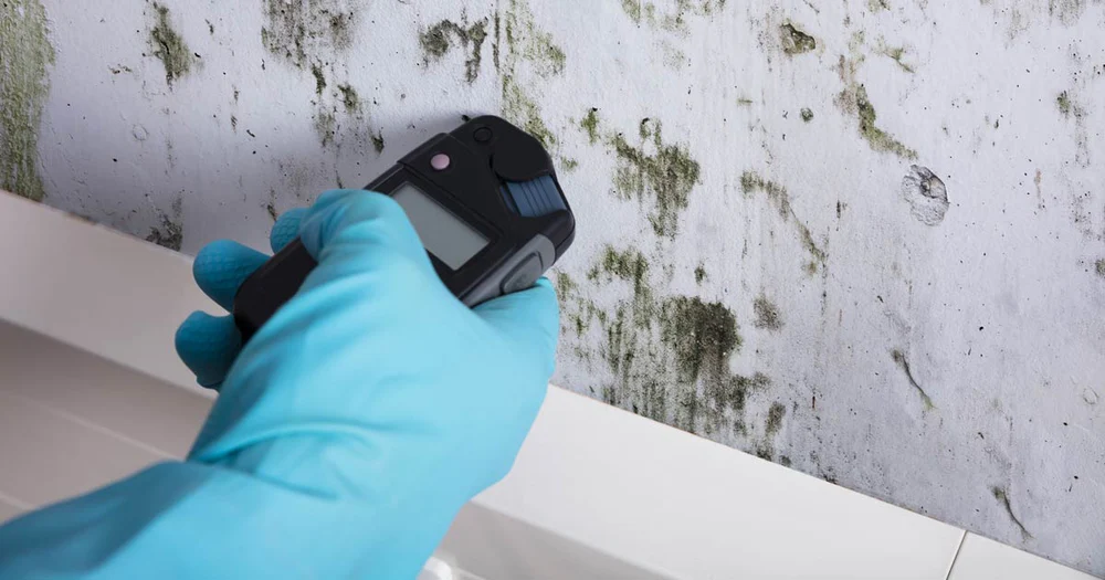 Mould & Moisture Testing Services — Hidden Risk Detection on Marion Real Estate