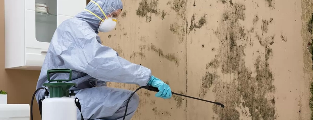 Mould & Mildew Remediation Services — Health & Structural Protection on Marion Real Estate
